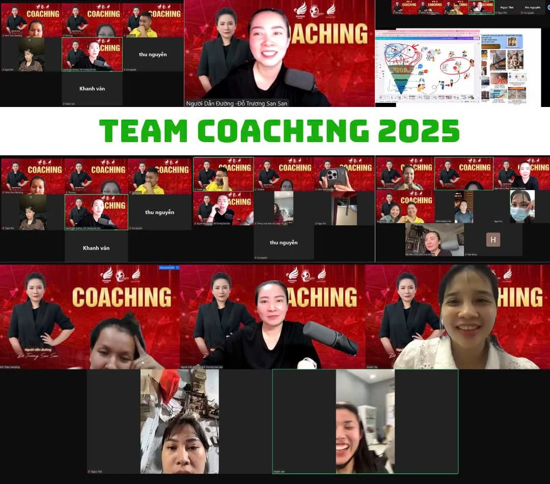 Zoom Coaching 11